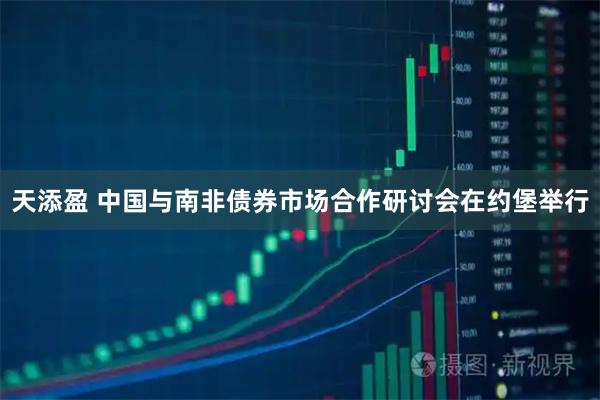 天添盈 中国与南非债券市场合作研讨会在约堡举行