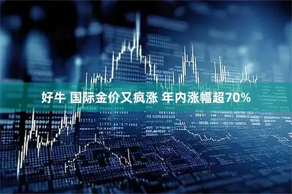 好牛 国际金价又疯涨 年内涨幅超70%