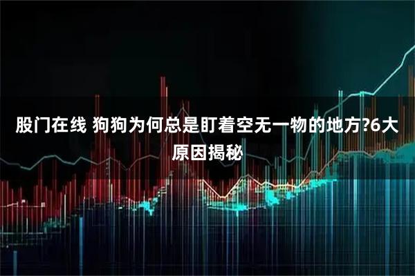 股门在线 狗狗为何总是盯着空无一物的地方?6大原因揭秘