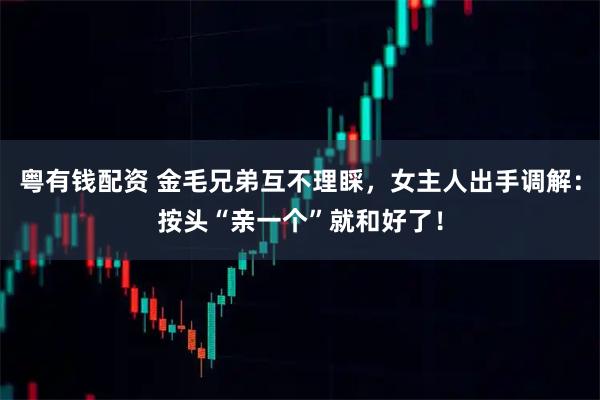 粤有钱配资 金毛兄弟互不理睬，女主人出手调解：按头“亲一个”就和好了！